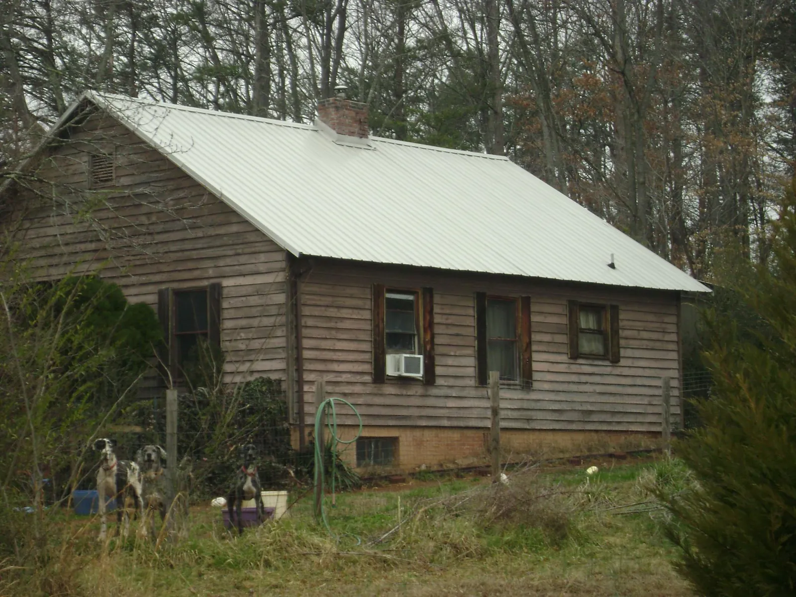 White metal roof on an old wood sided farmhouse, from a Asphalt Shingle Roof Repair job in Tallmadge